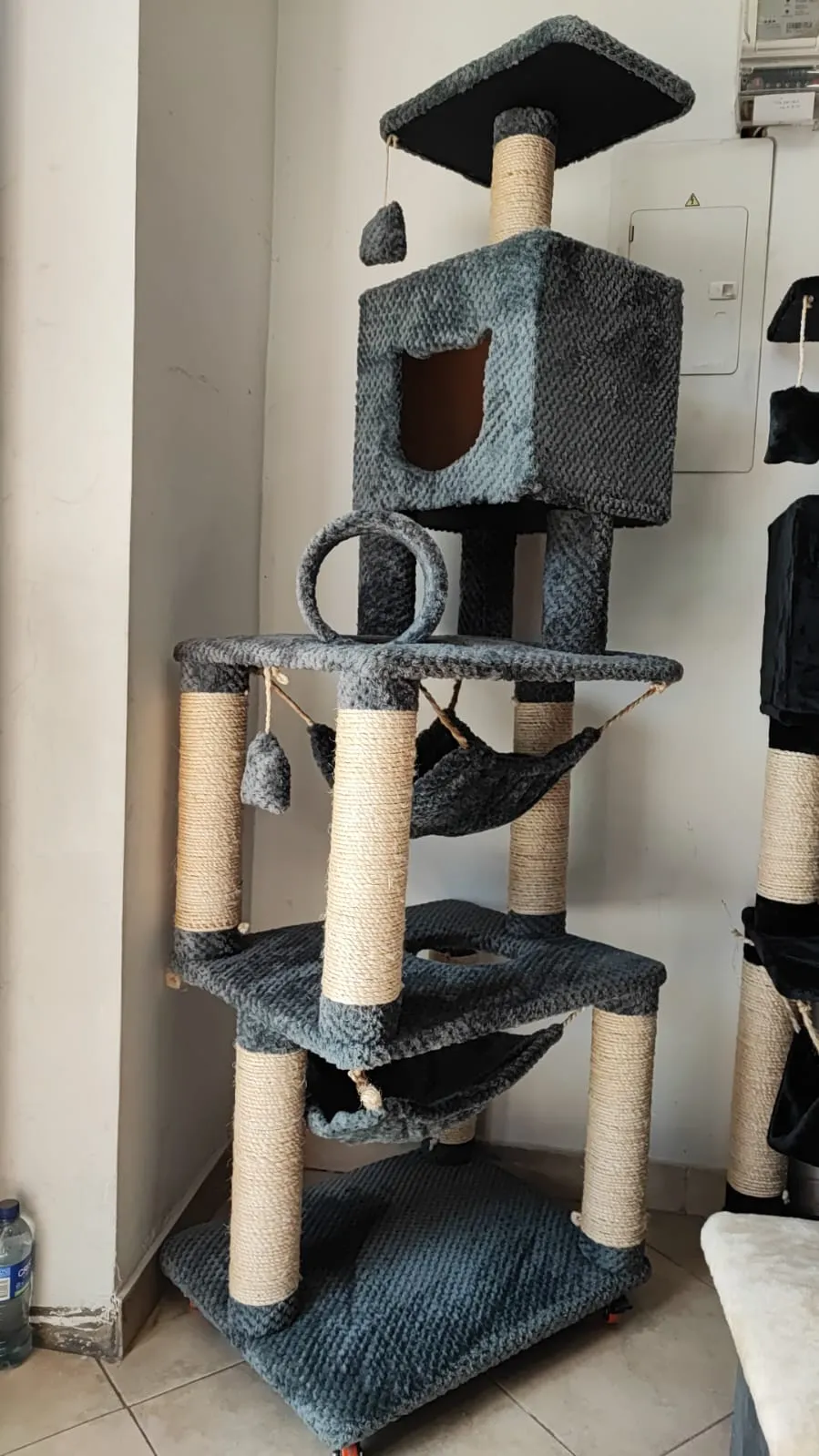 Shekina Mascotas — vista de colección